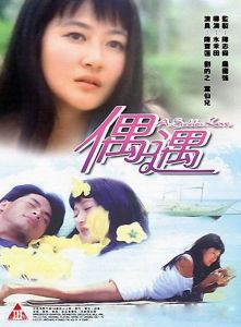 偶遇[香港1995年水禾田指導的電影]