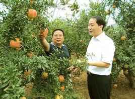 劉溝村[河南省鄭州市滎陽市高村鄉下轄村]