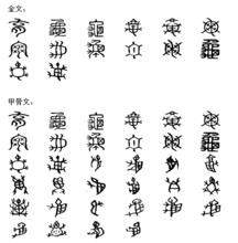 龜[中國漢語漢字]