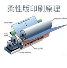 柔性版印刷[印刷工藝]