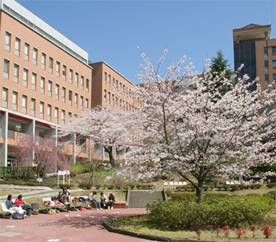 日本櫻美林大學