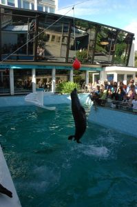 卑爾根水族館