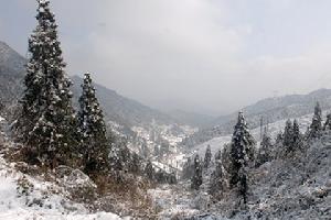 雪峰山國家森林公園