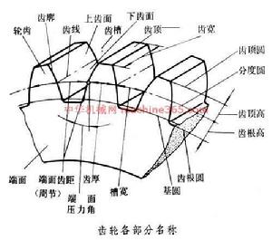 基節[機械原理術語]