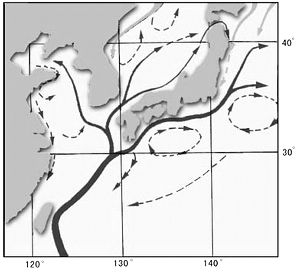 季風暖流