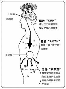 雙重性格