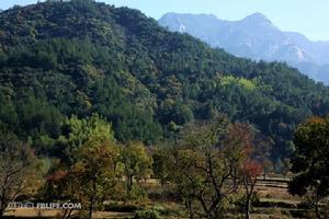 簰形灣村[湖北省黃岡市羅田縣鳳山鎮簰形灣村]