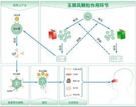 中藥免疫調節劑