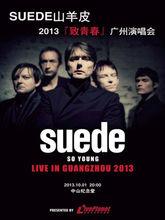 SUEDE山羊皮2013年巡演