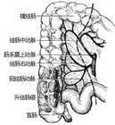 腸系膜疾病