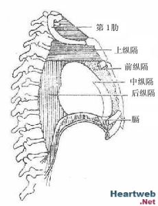 心神經官能症