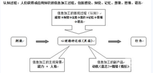 認知過程