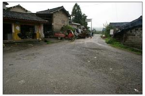 月亮田自然村通村道路