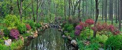 中山植物園