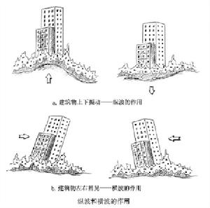 （圖）地震縱波影響圖解