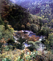 觀海寺[廣東省潮州市饒平縣寺廟]