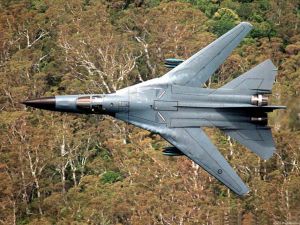 F-111土豚
