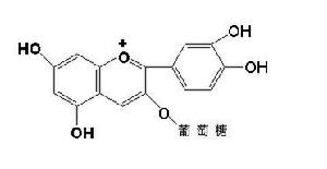 桑葚紅色素