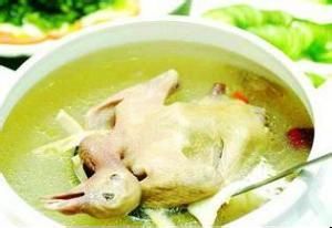 玉山鴿肉湯