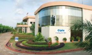 cipla