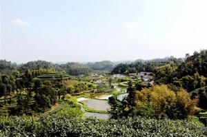 高龍村[四川省樂山市犍為縣舞雩鄉下轄村]