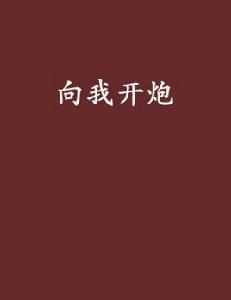 向我開炮[BL小說]