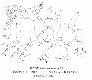 獨居慎戎