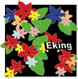 eKing