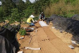 長田村[雲南曲靖市會澤縣雨碌鄉下轄村]