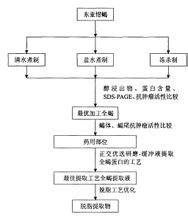 蠍毒採集工藝