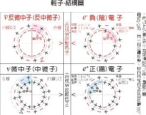 輕子-內部結構模型圖