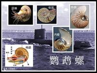 鸚鵡螺亞綱(Nautiloidea) 類動物