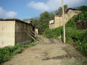 進村道路