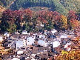 石城村[河北省曲陽縣產德鄉石城村]