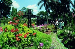 新加坡植物園