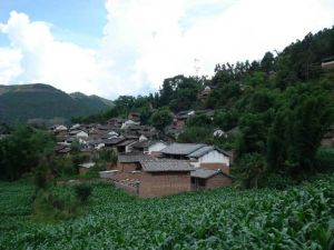 老竹村－村莊近景