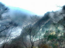 王順山國家森林公園