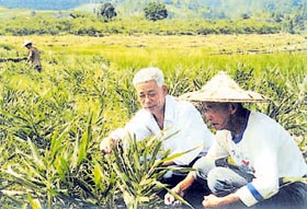 大池鎮