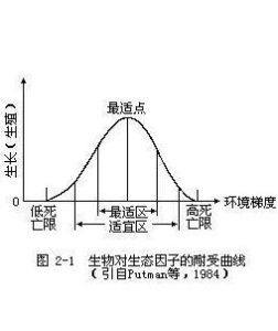 耐受性法則