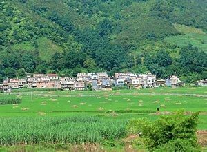 龍川鎮[雲南省南華縣下轄鎮]