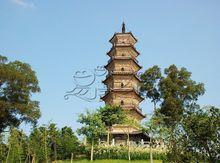 靈龜公園風光、植物