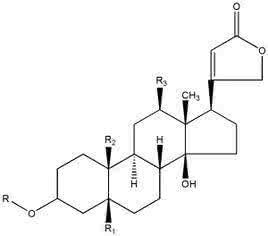果糖苷酶