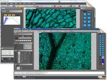 顯微鏡成像軟體