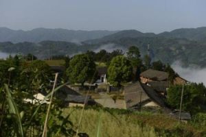 荔枝山村[廣東省陽江市陽東縣新洲鎮荔枝山村]