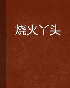 燒火丫頭[扣子不乖小說作品集]