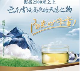 雪蕎茶