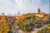 一到深秋，南京就美成了金陵