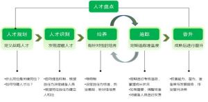 繼任的科學流程