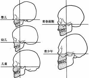 顱容量