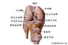 韌帶扭傷